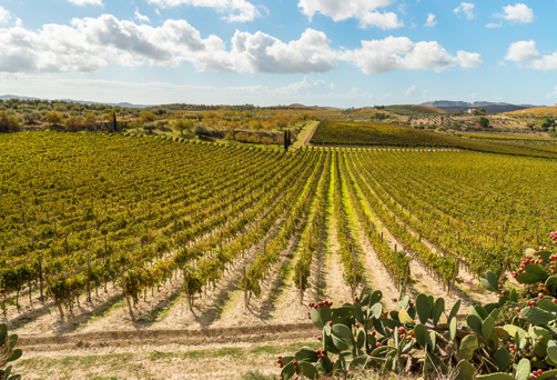 Campobello, Sicily, Italy