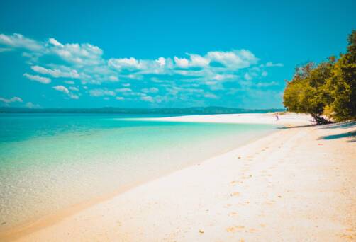 Tanimbar Island