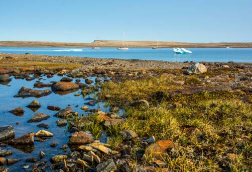 Conningham Bay/Fort Ross