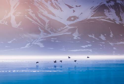 Northeast Svalbard Nature Reserve Expedition