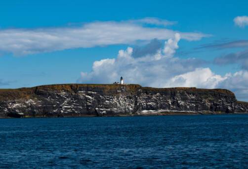 Copinsay Island, Scotland