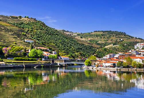 A panoramic view of Pinhão