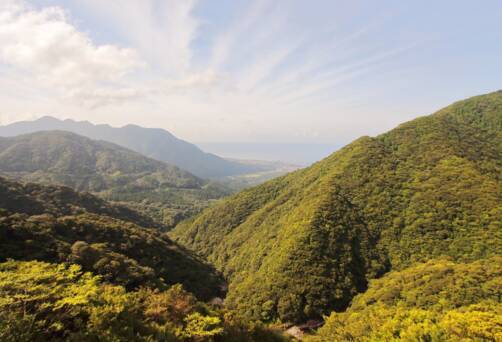 Miyanoura - Yakushima