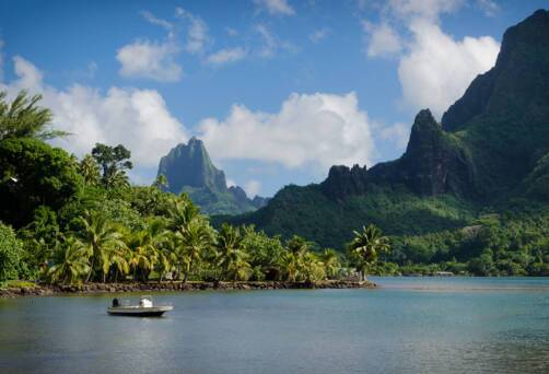 Cook's Bay, Moorea