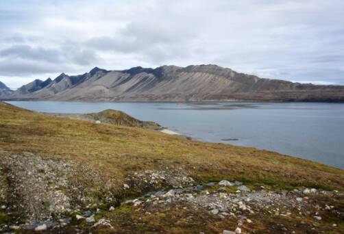 Isfjord, Svalbard