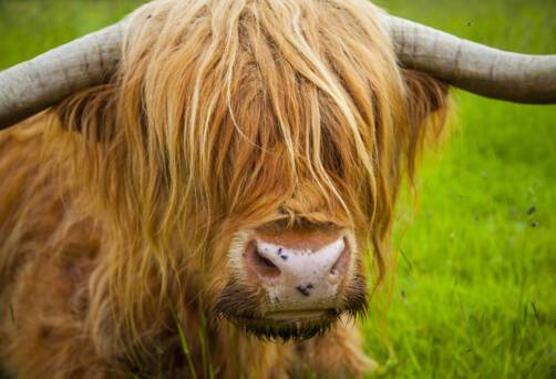 Fort William, Scotland