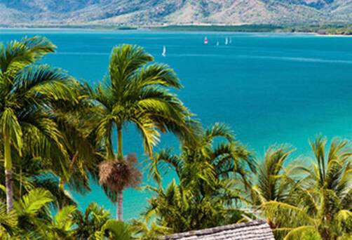 A panoramic view of a beach in Port Douglas