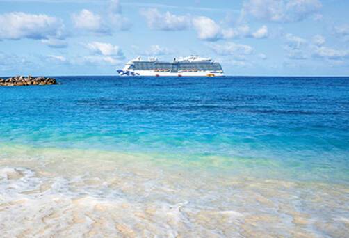 Enchanted Princess at sea