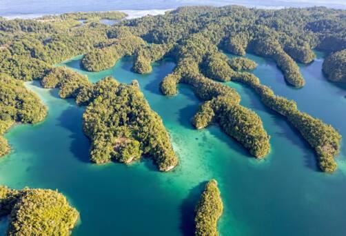 Gam Island