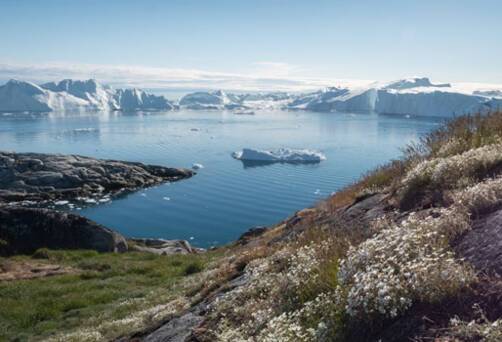 Greenland, Arctic