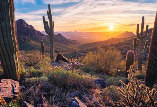 Scottsdale Area, Arizona, USA