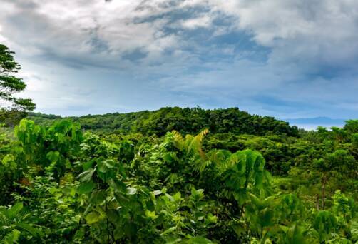 Santa Ana, Solomon Islands