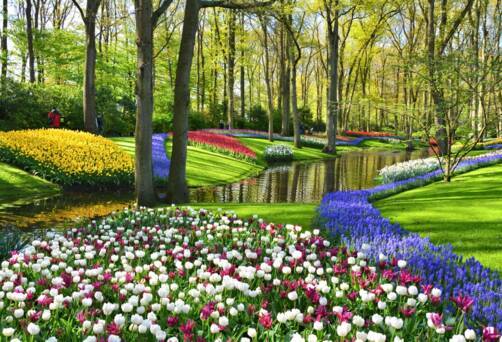 Keukenhof Gardens, Amsterdam Netherlands