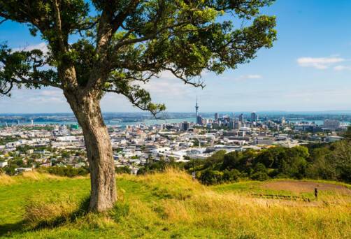 Auckland, New Zealand