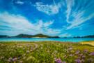 Zamami Island, Japan