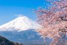 Mount Fuji