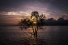 Larantuka, Indonesia