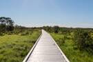 A view of the boardwalk in Kushiro Shitsugen National Park
