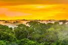 A view of the sunset over the Amazon