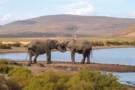 Aquila Game Reserve