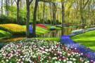 Keukenhof Gardens, Amsterdam Netherlands