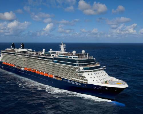 Celebrity Reflection