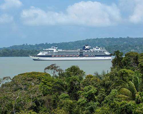Celebrity Infinity