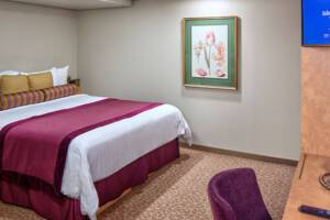 Large Interior Stateroom, Noordam