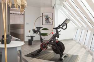 Iconic Suite Pelton, Celebrity Ascent