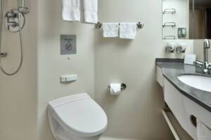 Interior Stateroom Bathroom, Eurodam