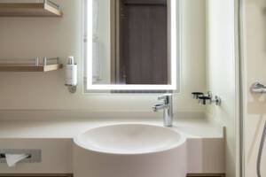 Inside Cabin Bathroom (PC), Arvia