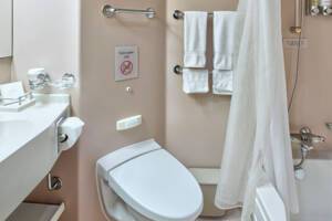 Verandah Stateroom Bathroom, Zuiderdam