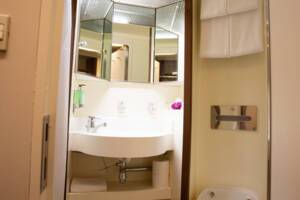 Twin Inside Cabin, Ambience, Ambassador