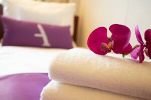 Twin Inside Cabin, Ambience, Ambassador