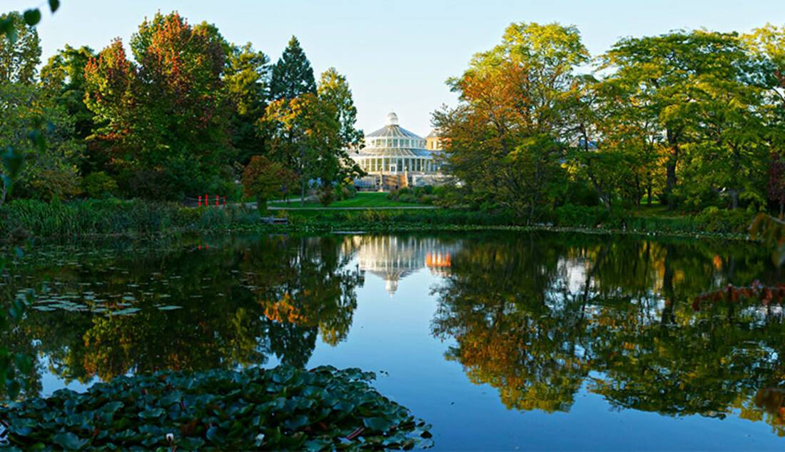 Botanical Gardens in Copenhagen