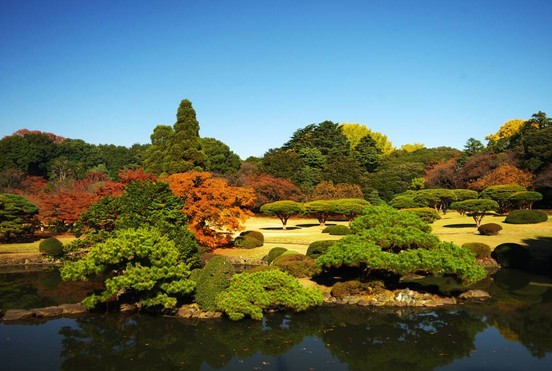 Gardens in Tokyo