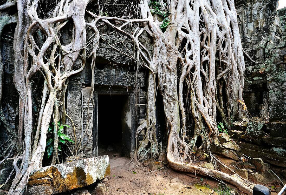Angkor Wat