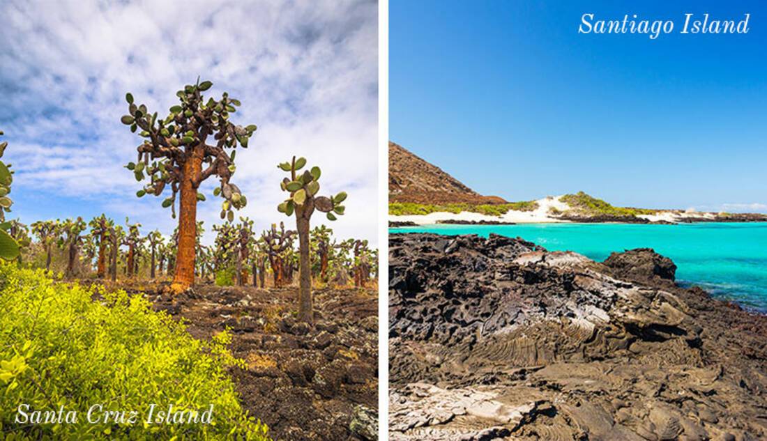 Where are the Galapagos Islands