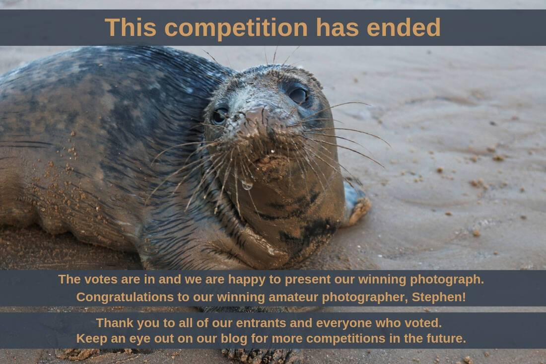 ROL Cruise | Wildlife photography competition winner announcement