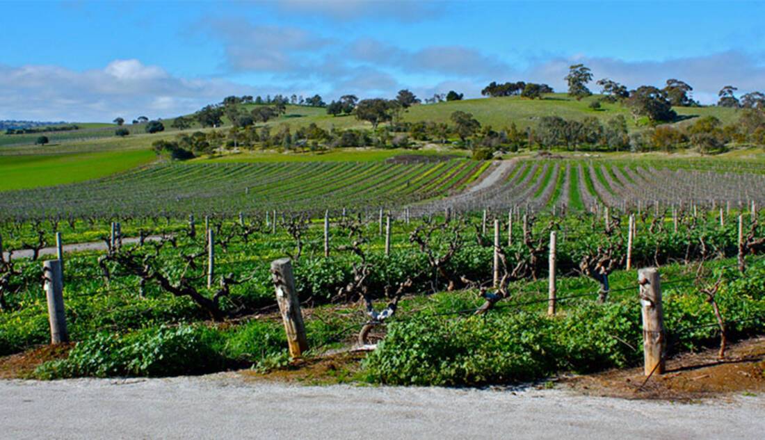 Barossa Valley, America