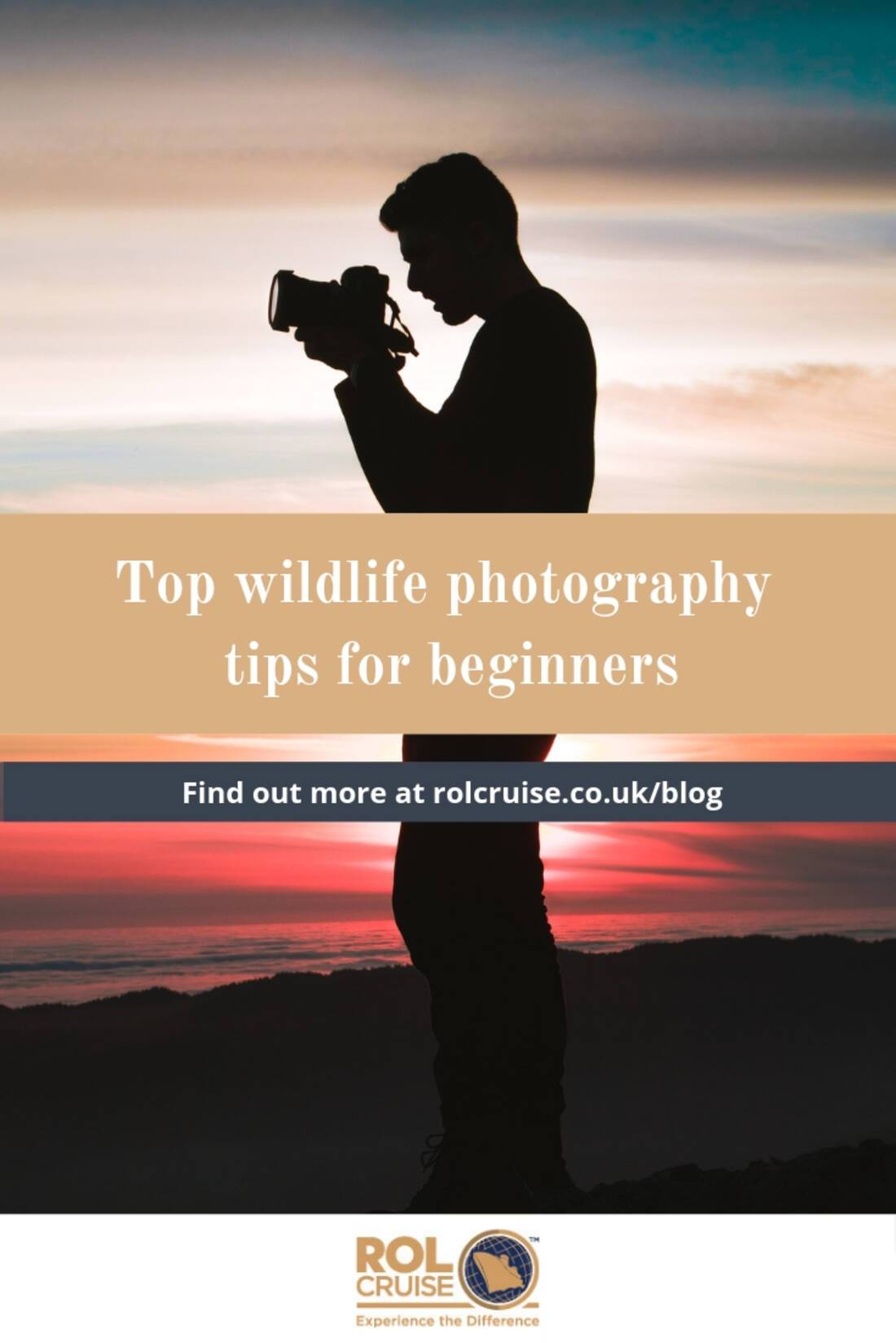 Top wildlife photography tips for beginners | ROL Cruise
