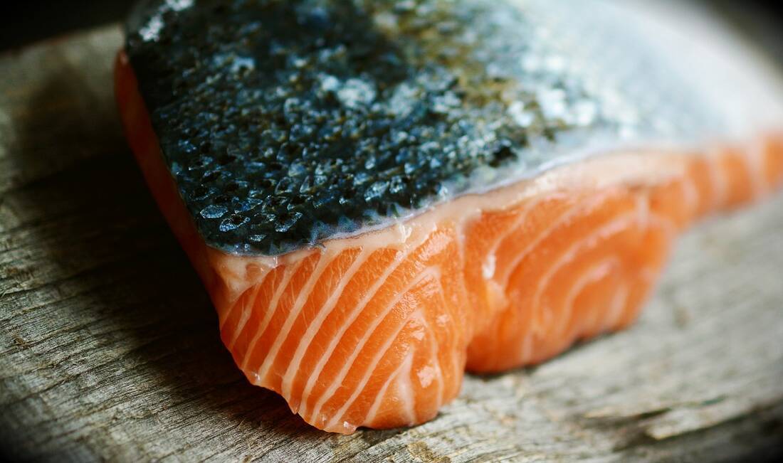 fresh salmon fillet