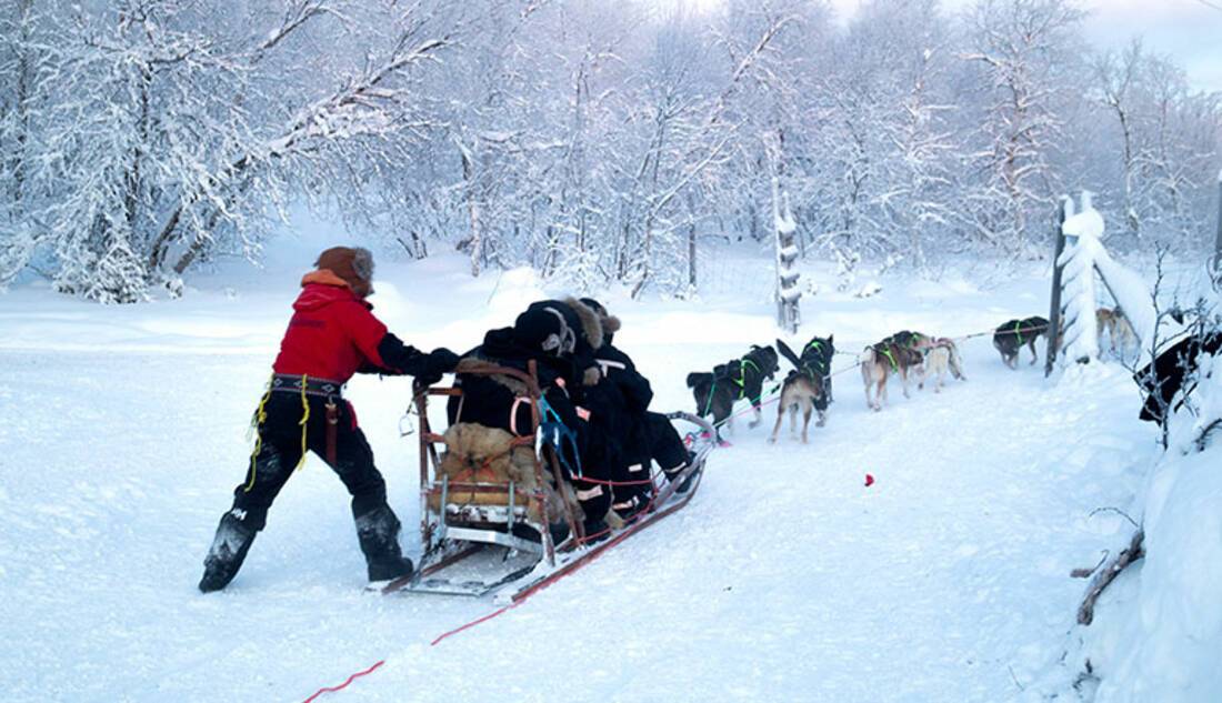 Hurtigruten excursions