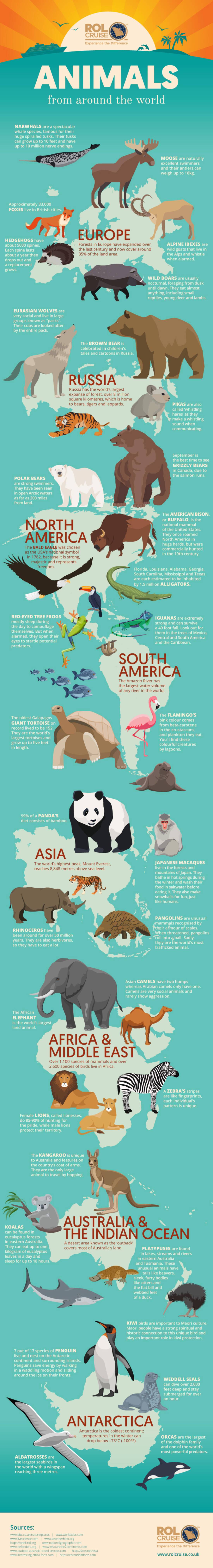 Animals from around the world