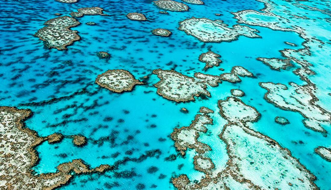 The Great Barrier Reef
