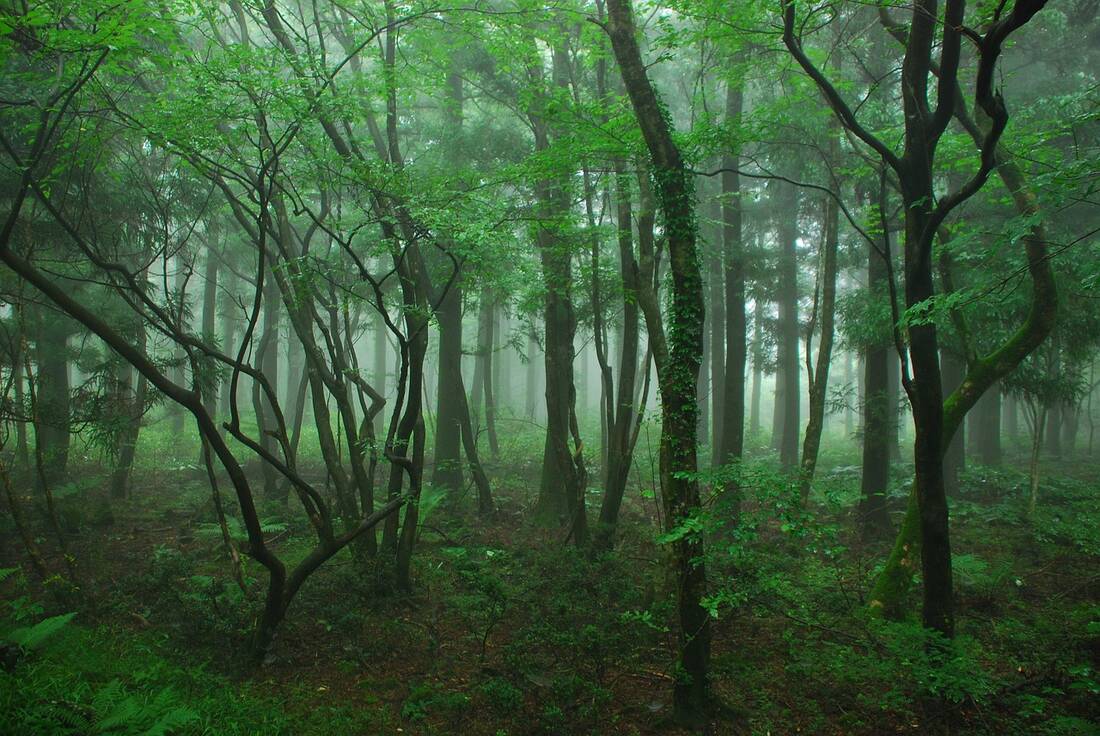 Jeju Island