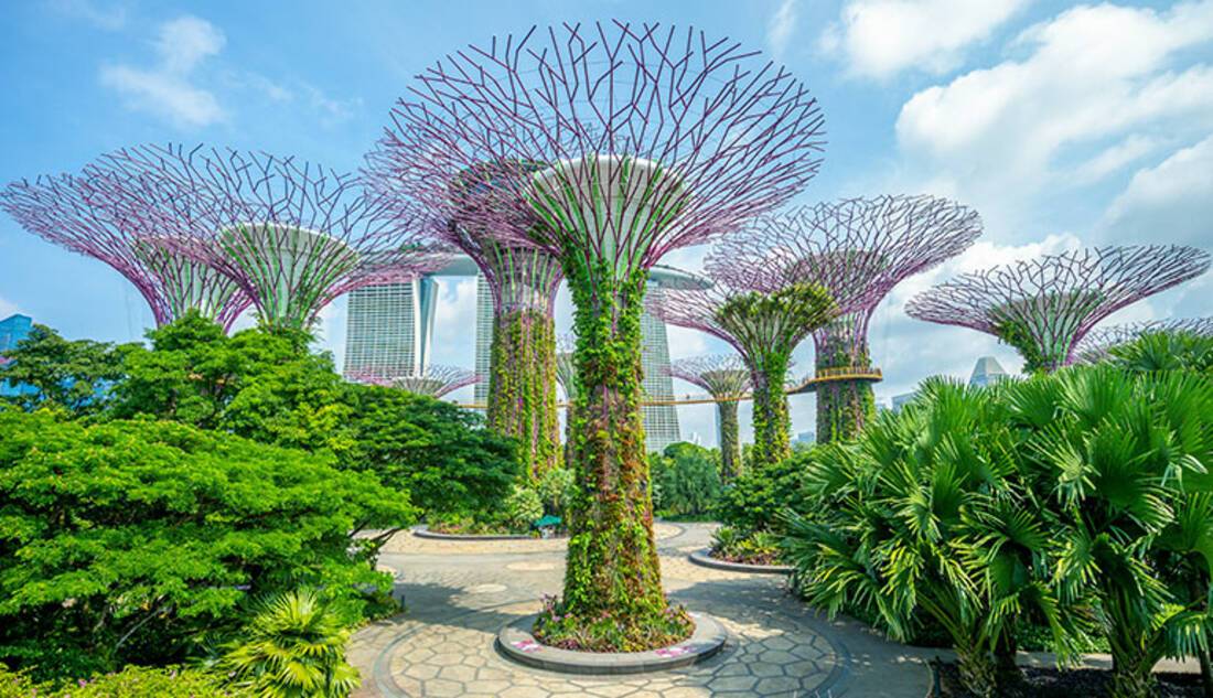 Cruises to Singapore
