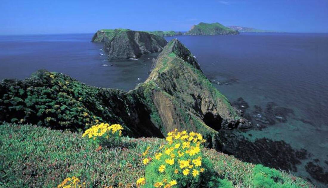 Channel Islands, America