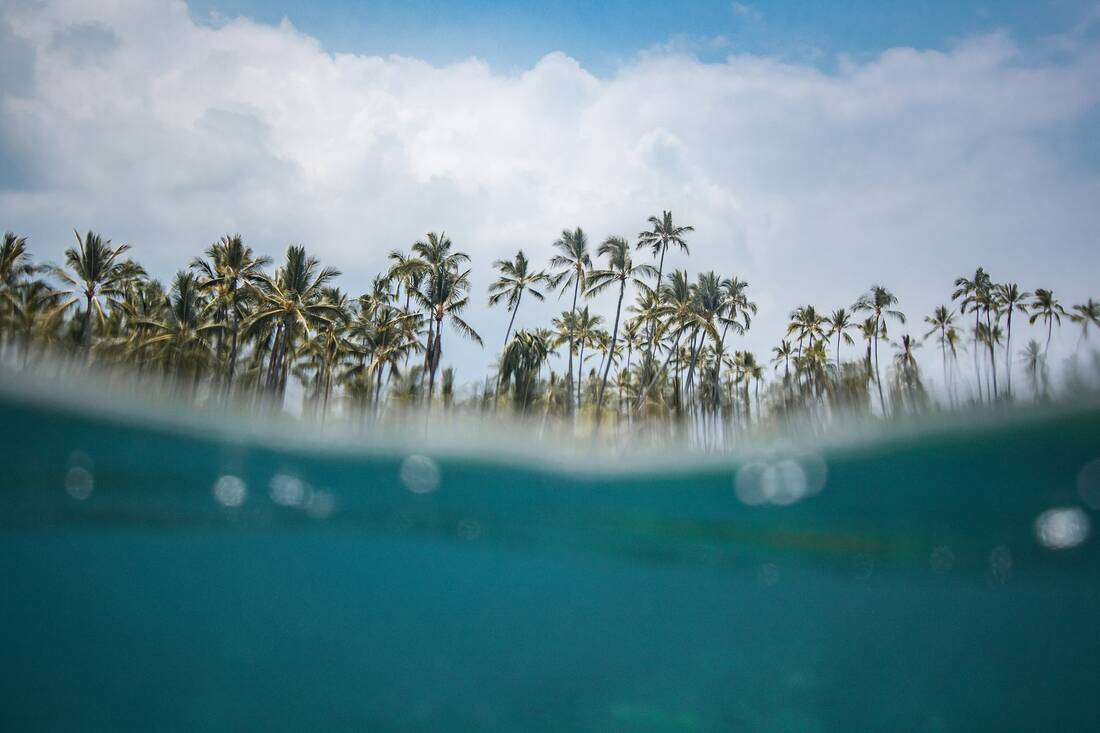 Hawaii ocean