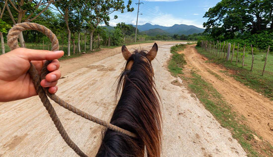 Horseback Riding, Bonaire